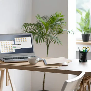 Büro Schreibtisch mit Laptop, Kaffeetasse und Topfpflanze in einem hellen Raum.